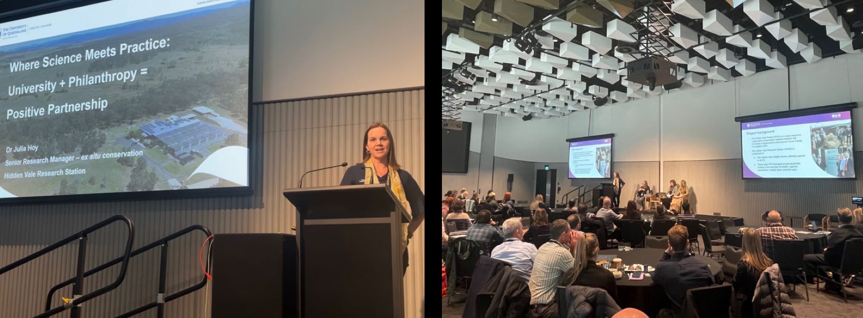 Our Koala Project wins the ZAA Conservation Award! Hidden Vale